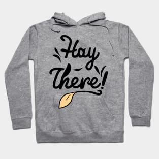 Hay There Farming Country Yeehaw - Cowgirl Cowboy Funny Hoodie